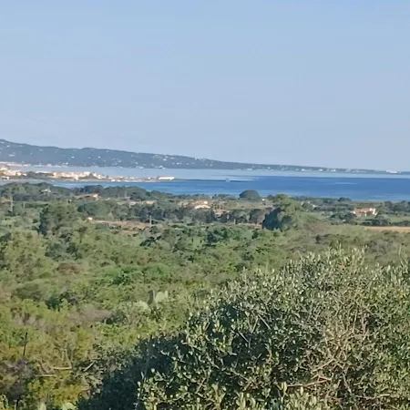 شقة Casa Pappagallo *